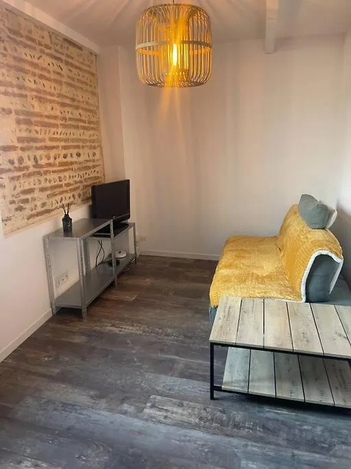 Appartement T2 - 1Er Etage Seysses 0*,  France